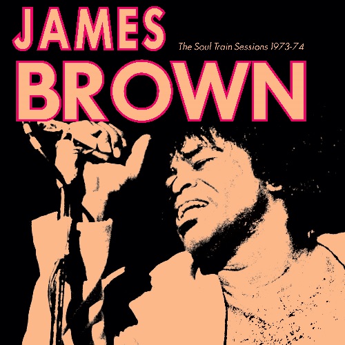 JAMES BROWN / ジェームス・ブラウン / SOUL TRAIN SESSIONS 1973-74 (LP)