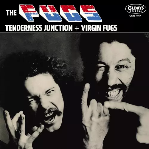 THE PUBLIC IMAGE IS ROTTEN (SONGS FROM THE HEART) / ザ・パブリック