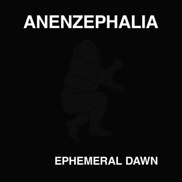 ANENZEPHALIA / アネンザファリア / EPHEMERAL DAWN (2LP BLACK VINYL)