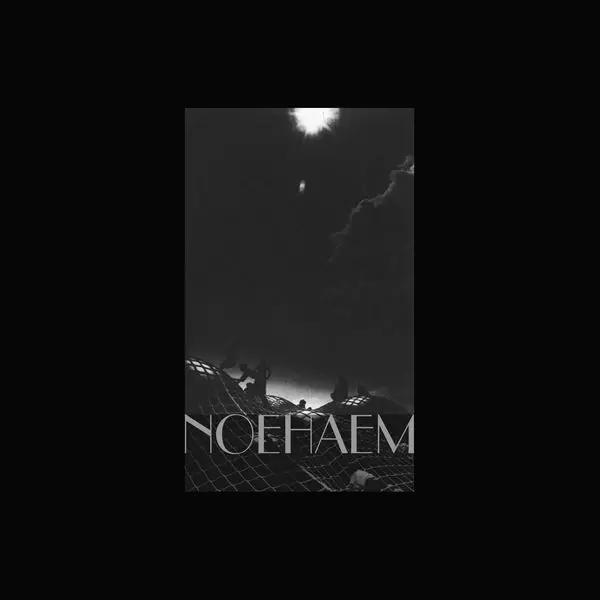 ANENZEPHALIA / アネンザファリア / NOEHAEM (VINYL)