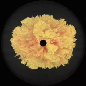 ADAM NAHALEWICZ / FORTUNE TELLER EP