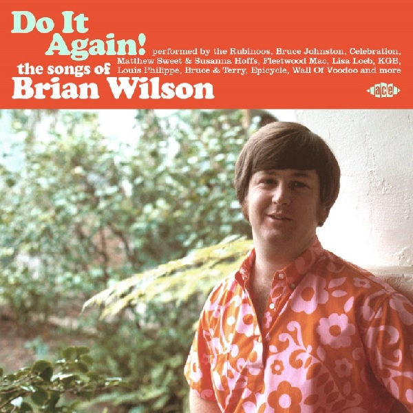 V.A. / DO IT AGAIN! THE SONGS OF BRIAN WILSON