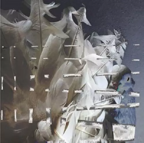 MERZBOW / メルツバウ / FANTAIL VISION (6CD BOX)