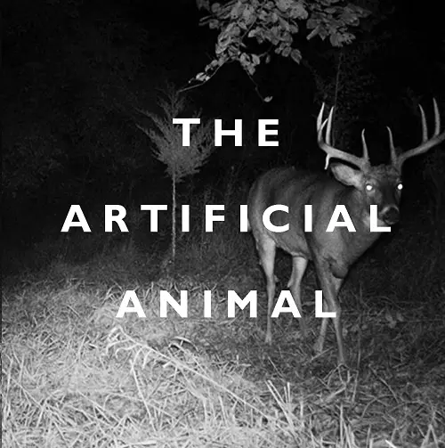 BROKEN ENGLISH CLUB / ブロークン・イングリッシュ・クラブ / THE ARTIFICIAL ANIMAL