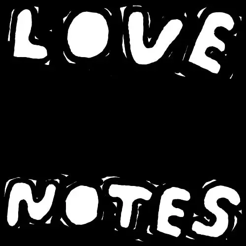 AMIR ALEXANDER / NOTES TO BROOKLYN