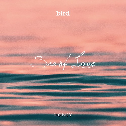 bird / Sea of Love
