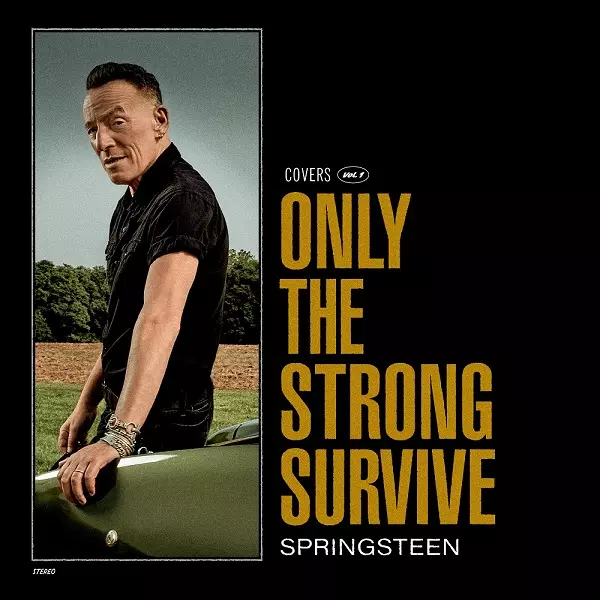 ONLY THE STRONG SURVIVE (VINYL)/BRUCE SPRINGSTEEN/ブルース