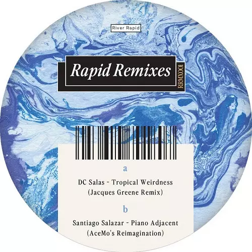 V.A / RAPID REMIXES
