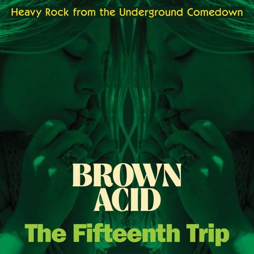V.A. (BROWN ACID) / BROWN ACID: THE 15TH TRIP (CD)
