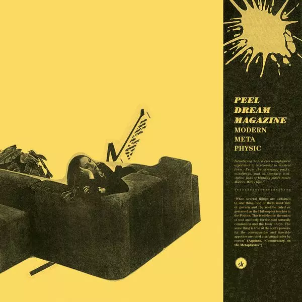 PEEL DREAM MAGAZINE / ピール・ドリーム・マガジン / MODERN META PHYSIC (VINYL)