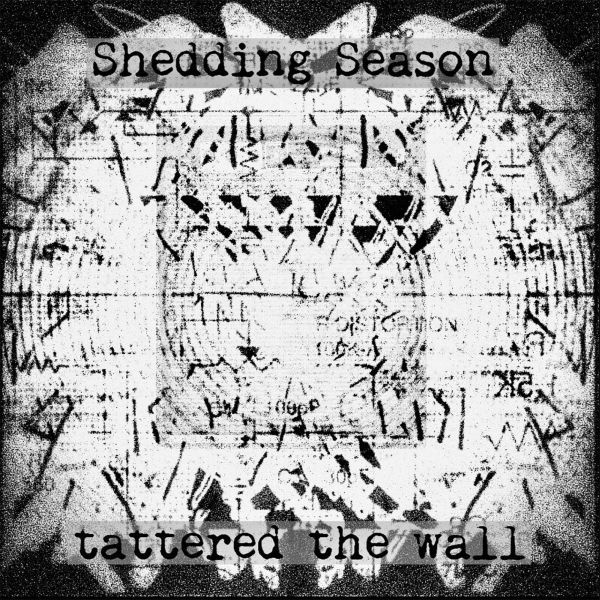 tattered the wall / タッタード・ザ・ウォール / Shedding Season / シェディング・シーズン