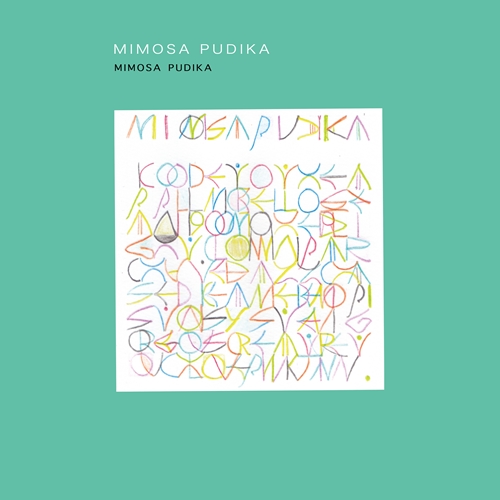 Mimosa Pudika / Mimosa Pudika