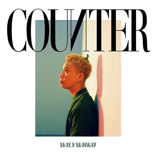 WILYWNKA a.k.a TAKA / COUNTER "LP"