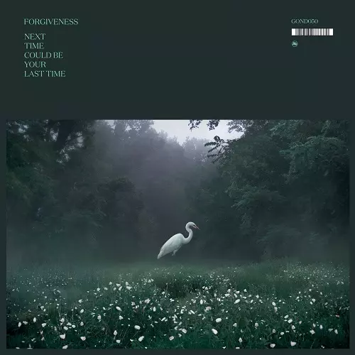 FORGIVENESS / フォーギヴネス / ネクスト・タイム・クッド・ビーユア・ラスト・タイム