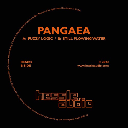 PANGAEA / パンゲア (Hessle Audio) / FUZZY LOGIC / STILL FLOWING WATER