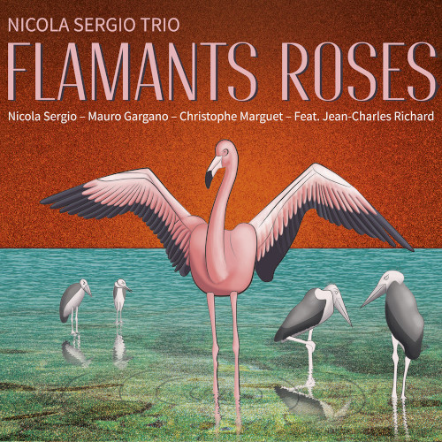NICOLA SERGIO / ニコラ・セルジオ / Flamants Roses