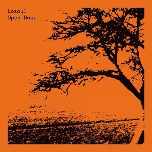 LOSOUL / ロソウル / OPEN DOOR (EXPANDED 2X12”)