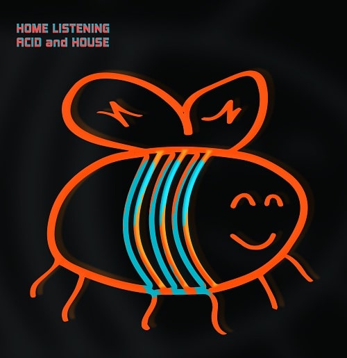 HOME LISTENING ACID AND HOUSE/V.A. (CHICAGO BEE)/伝説のレーベルBUZZが誇る歴史的名盤