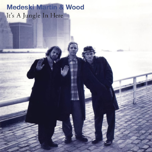 MEDESKI MARTIN & WOOD / メデスキ・マーティン&ウッド / It's A Jungle In Here (30th Anniversary Edition)(LP/CLEARWATER BLUE VINYL)