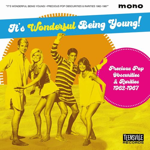V.A. (SOFT ROCK/BUBBLEGUM) / ITS WONDERFUL BEING YOUNG (PRECIOUS POP OBSCURITIES & RARITIES 1962-1967)