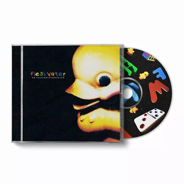 FLESHWATER / WE'RE NOT HERE TO BE LOVED