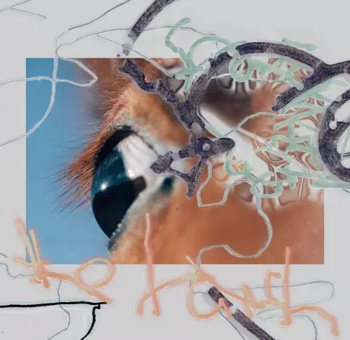 あのち(LP)/GEZAN with Million Wish Collective/『狂(KLUE