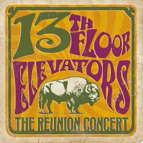 13TH FLOOR ELEVATORS / サーティーンス・フロア・エレヴェーターズ / THE REUNION CONCERT (2LP)