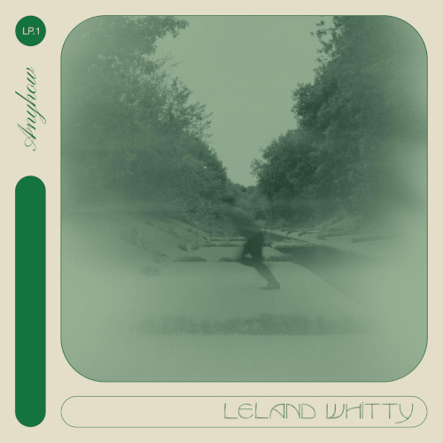 LELAND WHITTY / リーランド・ウィッティ / Anyhow(LP)