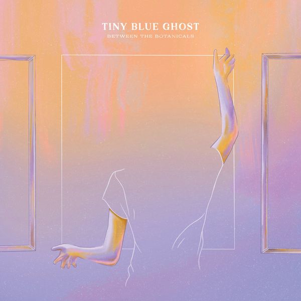 TINY BLUE GHOST / BETWEEN THE BOTANICALS