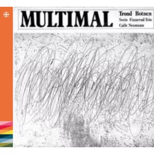 TROND BOTNEN, SVEIN FINNERUD TRIO, CALLE NEUMANN / Multimal