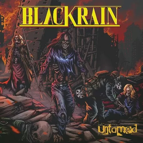BLACK RAIN (METAL) / ブラック・レイン商品一覧｜ディスク 