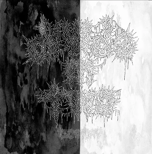 0.001DAY / Divide in two