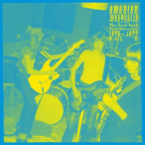 V.A. (WORLD MUSIC) / V.A. (辺境) / SWEDISH MEATBALLS, VOL. 2 (LP)