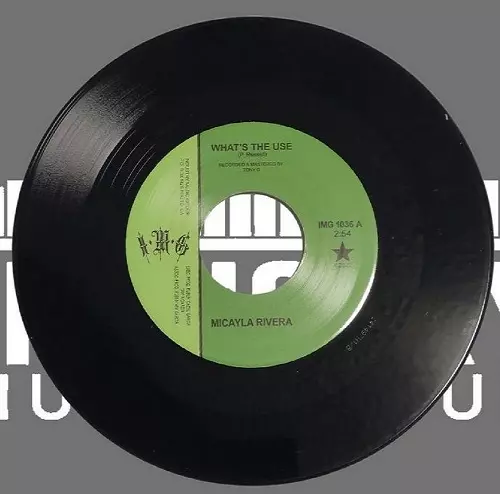 MICAYLA RIVERA / WHAT'S THE USE (7")