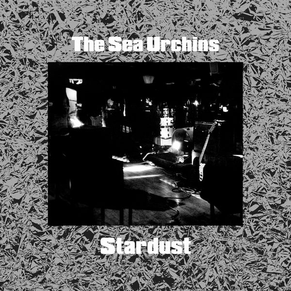 SEA URCHINS / シー・アーチンズ / STARDUST (VINYL)