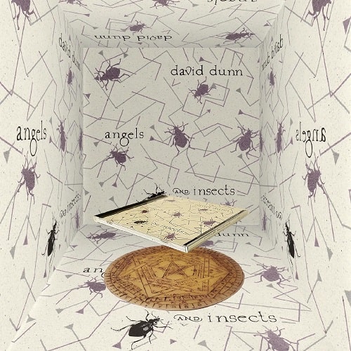 DAVID DUNN / デヴィッド・ダン / 天使と昆虫