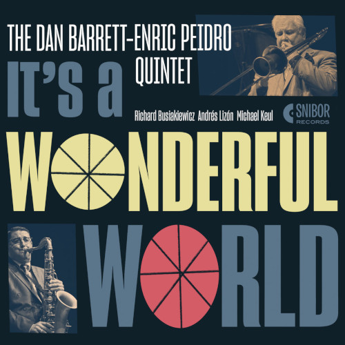 DANNY BARRETT / ダニー・バレット / It's A Wonderful World(CD-R)