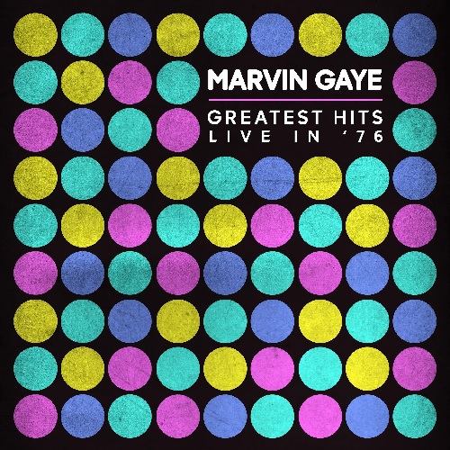 GREATEST HITS LIVE IN '76 (LP)/MARVIN GAYE/マーヴィン・ゲイ/1976年