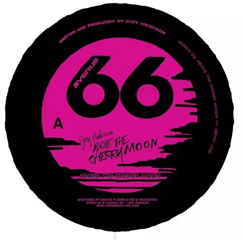 JOEY ANDERSON / ジョイ・アンダーソン / ABOVE THE CHERRY MOON(W/VAKULA RMX/2022 REEDITION)