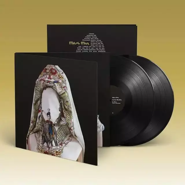 BROTHERS & SISTERS(LP)/STEVE MASON/エモーショナルなネオアコ