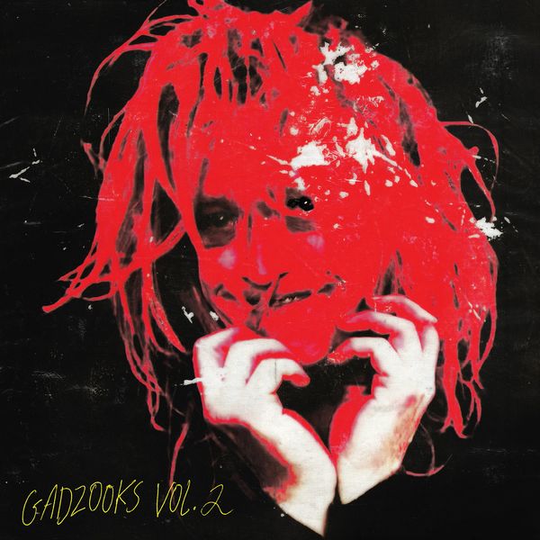 CALEB LANDRY JONES / ケイレブ・ランドリー・ジョーンズ / GADZOOKS VOL. 2 (LP)