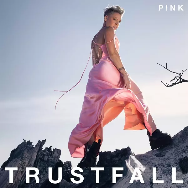 P!NK / TRUSTFALL