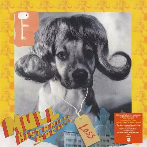 MULL HISTORICAL SOCIETY / マル・ヒストリカル・ソサエティー / LOSS (VINYL)
