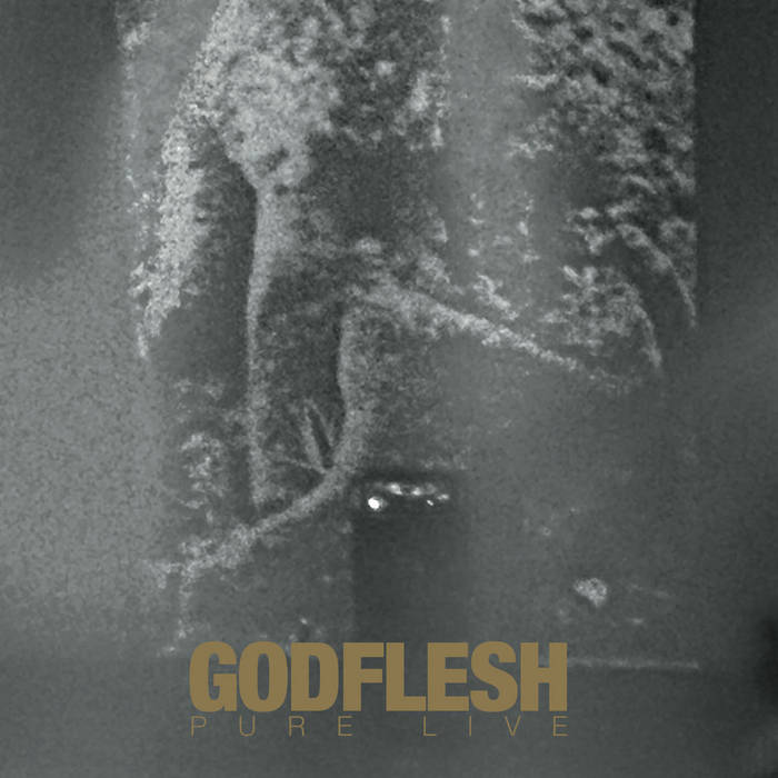 GODFLESH / ゴッドフレッシュ / PURE: LIVE