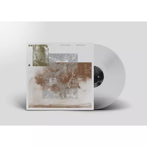 The Vernon Spring / Still アナログレコード 新品 n_t0109979.jpg