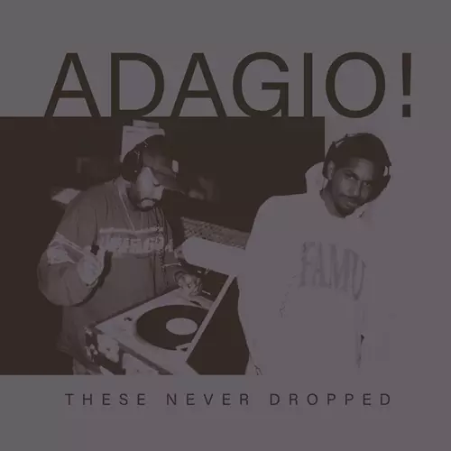 ADAGIO!(HIP HOP)商品一覧｜HIPHOP / 日本語RAP｜ディスクユニオン