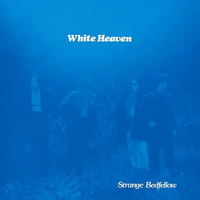 WHITE HEAVEN / Strange Bedfellow (Deluxe LP Edition)