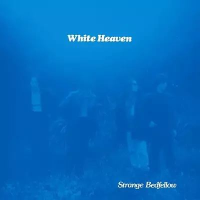 WHITE HEAVEN商品一覧｜HIPHOP / 日本語RAP｜ディスクユニオン