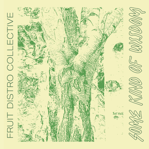 FRUIT DISTRO COLLECTIVE / Some Kind Of Wisdom(LP)