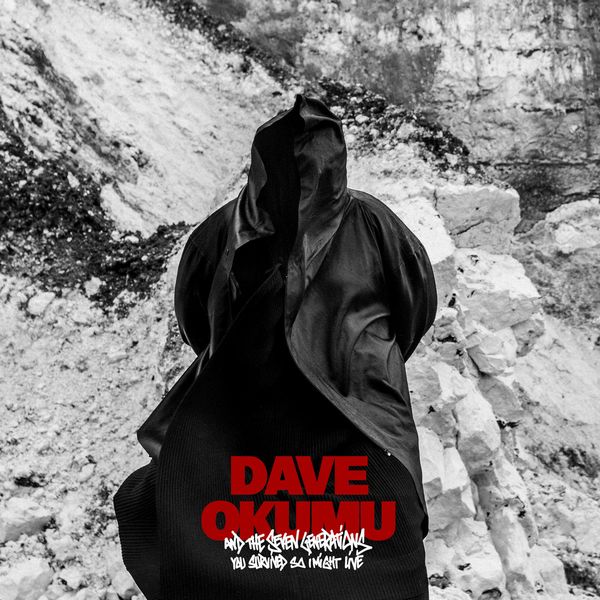 DAVE OKUMU & THE 7 GENERATIONS / I CAME FROM LOVE(LP)